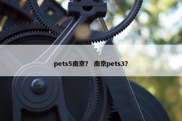 pets5南京？ 南京pets3？