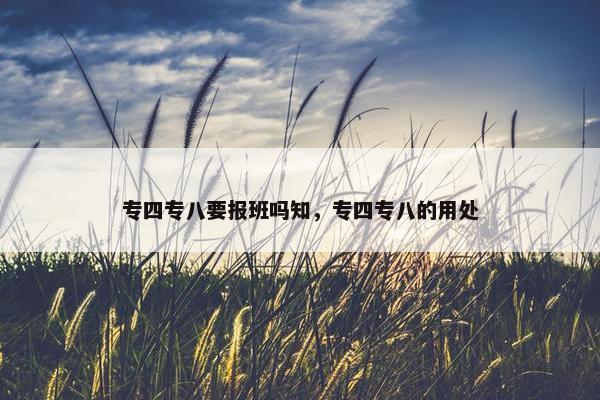 专四专八要报班吗知，专四专八的用处