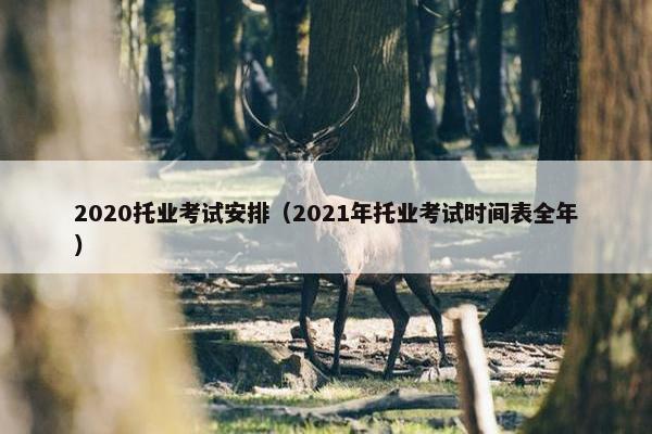 2020托业考试安排（2021年托业考试时间表全年）