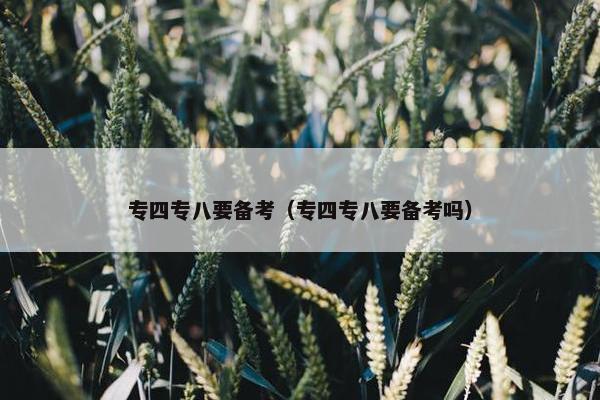 专四专八要备考（专四专八要备考吗）