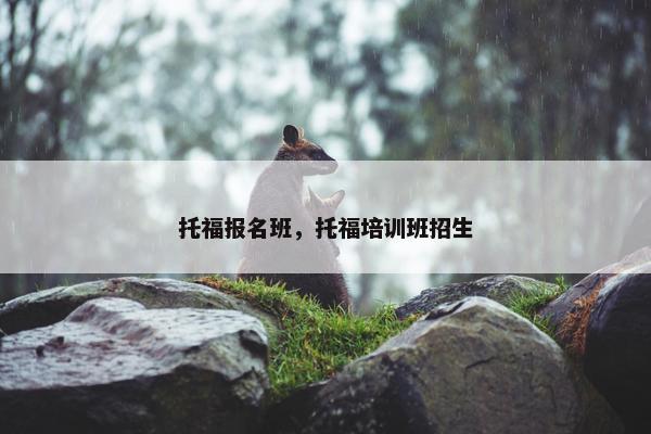 托福报名班，托福培训班招生