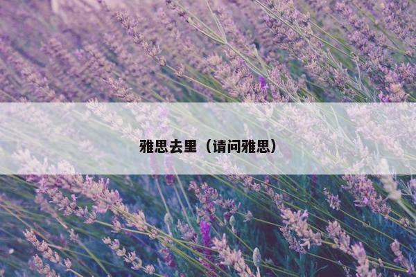 雅思去里（请问雅思）