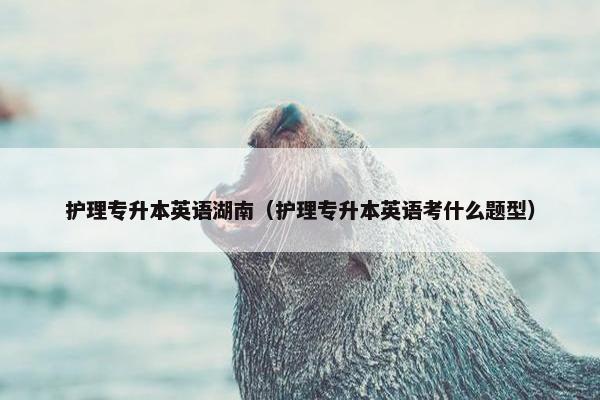 护理专升本英语湖南（护理专升本英语考什么题型）