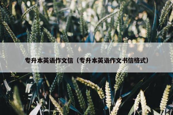 专升本英语作文信（专升本英语作文书信格式）