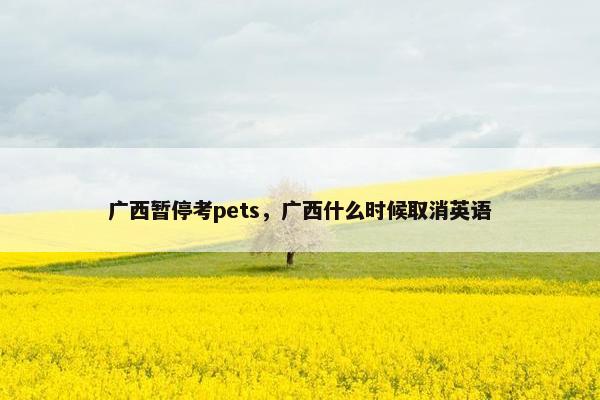 广西暂停考pets，广西什么时候取消英语