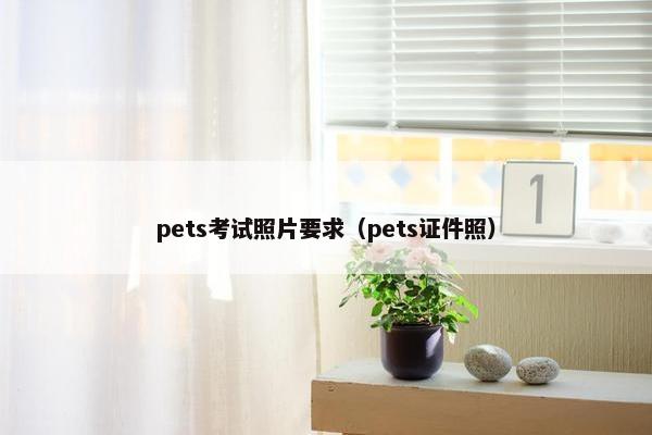 pets考试照片要求（pets证件照）