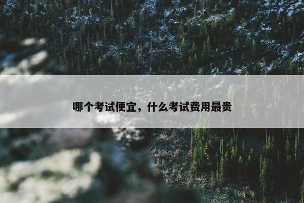 哪个考试便宜，什么考试费用最贵