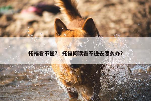 托福看不懂？ 托福阅读看不进去怎么办？