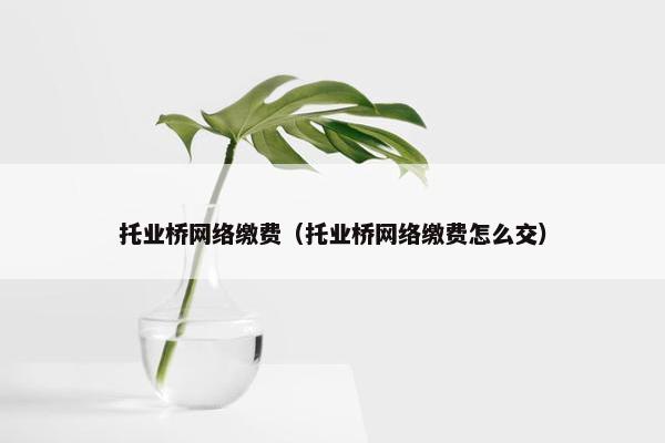 托业桥网络缴费（托业桥网络缴费怎么交）