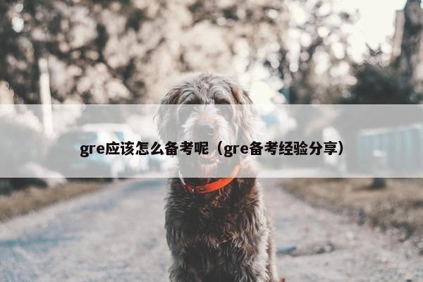 gre应该怎么备考呢（gre备考经验分享）