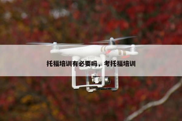 托福培训有必要吗，考托福培训