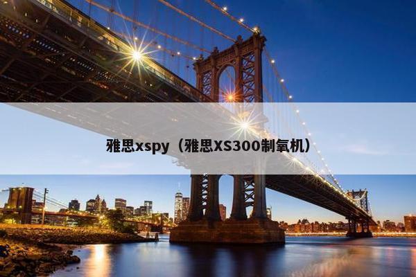 雅思xspy（雅思XS300制氧机）