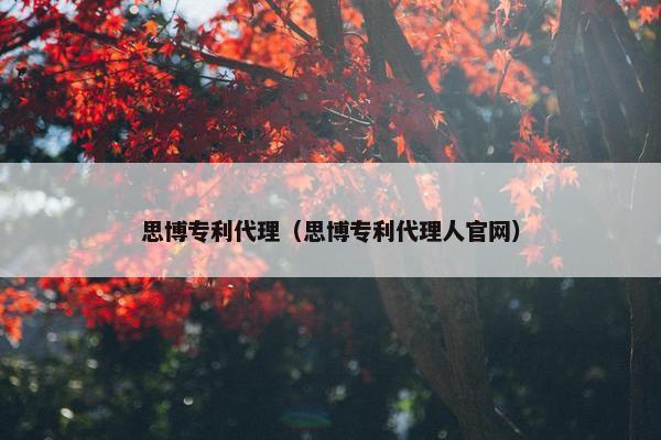 思博专利代理（思博专利代理人官网）