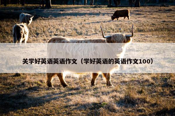 关学好英语英语作文（学好英语的英语作文100）
