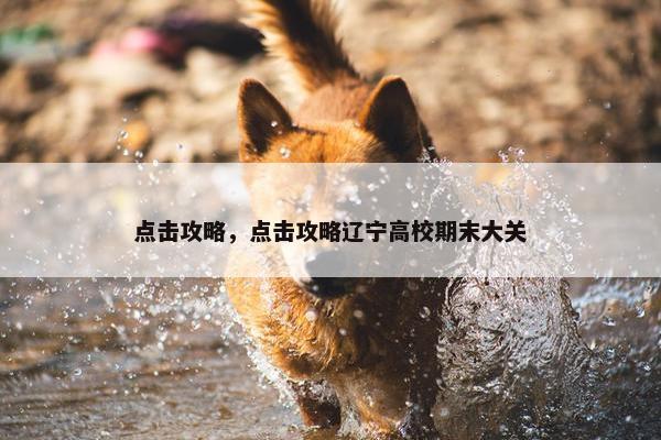 点击攻略，点击攻略辽宁高校期末大关