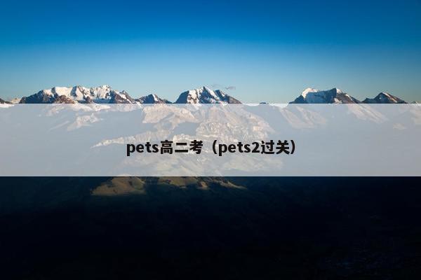 pets高二考（pets2过关）