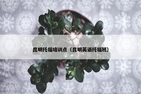 昆明托福培训点（昆明英语托福班）