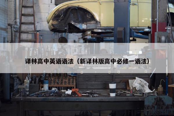 译林高中英语语法（新译林版高中必修一语法）