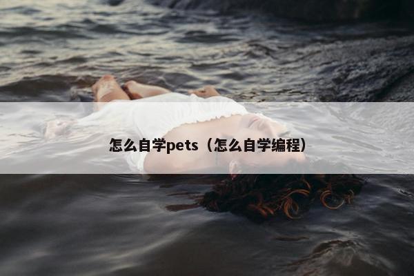 怎么自学pets（怎么自学编程）