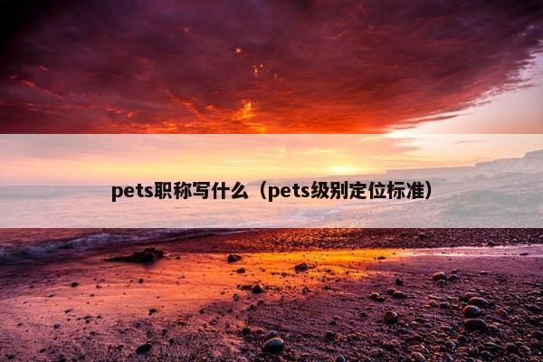 pets职称写什么（pets级别定位标准）