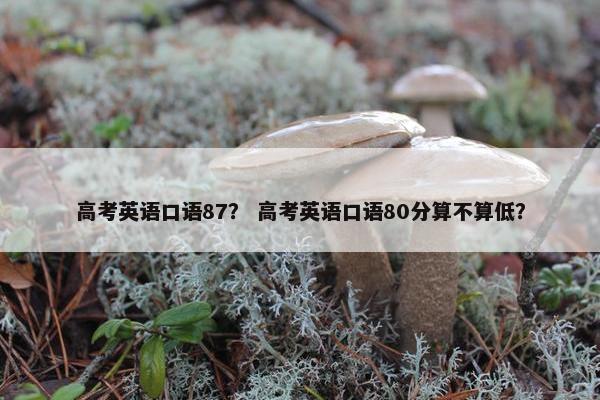 高考英语口语87？ 高考英语口语80分算不算低？
