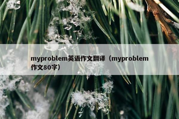 myproblem英语作文翻译（myproblem作文80字）