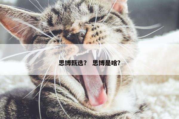 思博甄选？ 思博是啥？