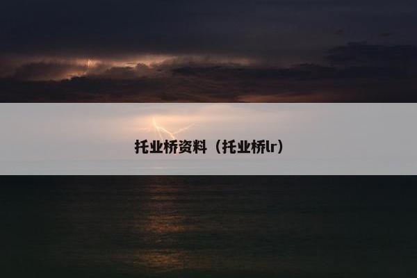 托业桥资料（托业桥lr）