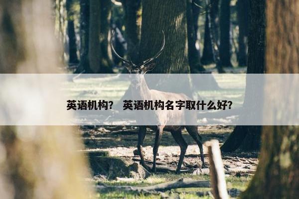 英语机构？ 英语机构名字取什么好？