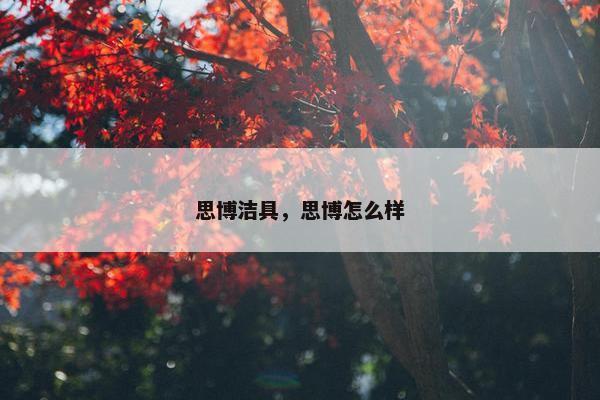 思博洁具，思博怎么样