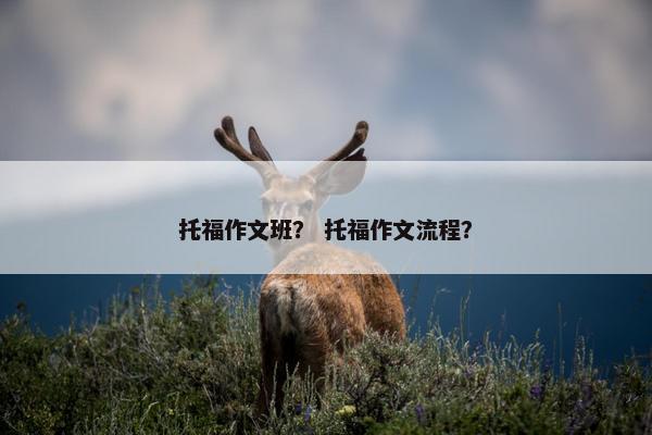 托福作文班？ 托福作文流程？