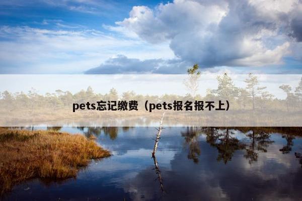 pets忘记缴费（pets报名报不上）