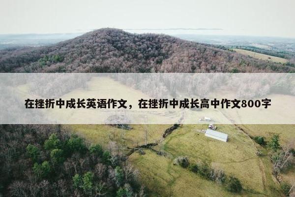 在挫折中成长英语作文，在挫折中成长高中作文800字