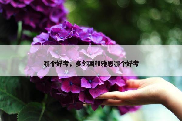 哪个好考，多邻国和雅思哪个好考