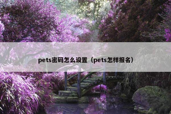 pets密码怎么设置（pets怎样报名）