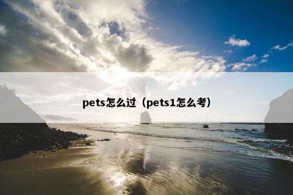 pets怎么过（pets1怎么考）