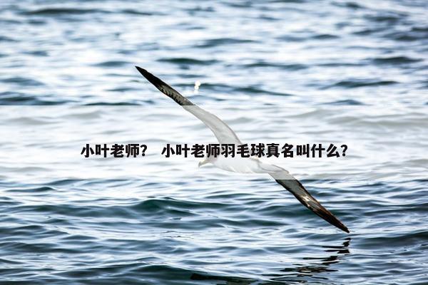 小叶老师？ 小叶老师羽毛球真名叫什么？