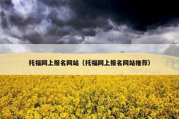 托福网上报名网站（托福网上报名网站推荐）