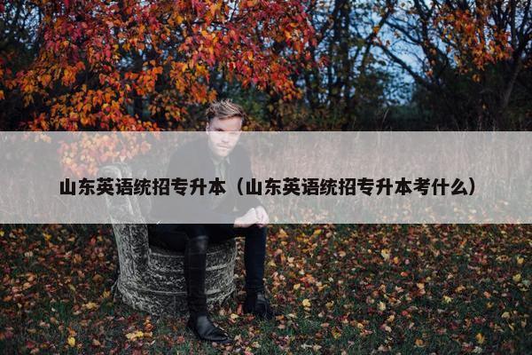 山东英语统招专升本（山东英语统招专升本考什么）