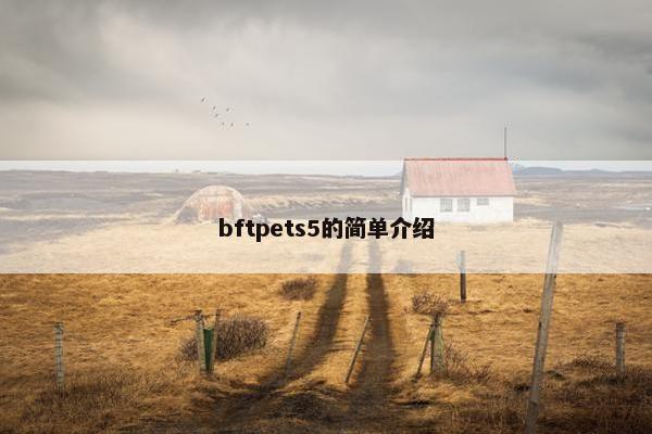 bftpets5的简单介绍