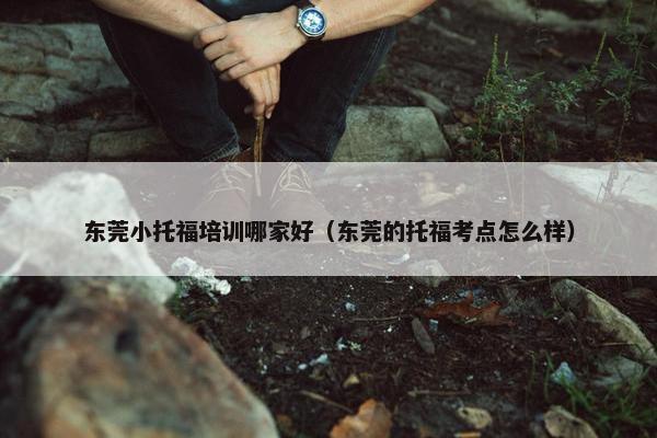东莞小托福培训哪家好（东莞的托福考点怎么样）