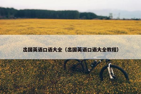 出国英语口语大全（出国英语口语大全教程）