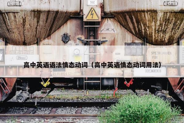 高中英语语法情态动词（高中英语情态动词用法）