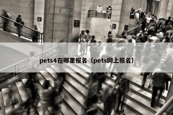 pets4在哪里报名（pets网上报名）