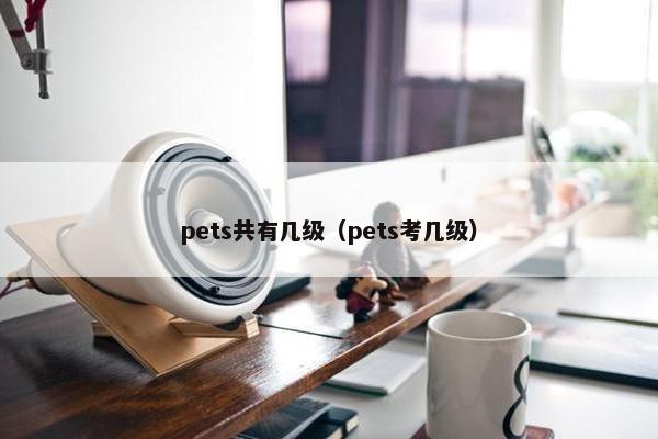 pets共有几级（pets考几级）