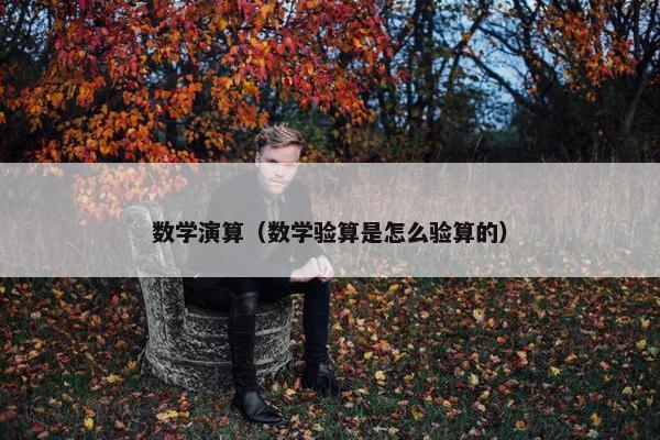 数学演算（数学验算是怎么验算的）