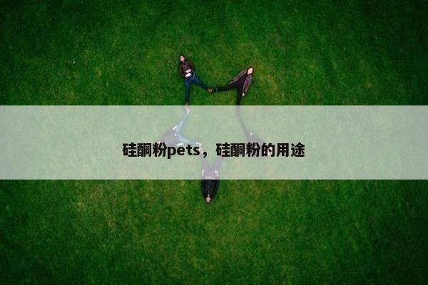 硅酮粉pets，硅酮粉的用途