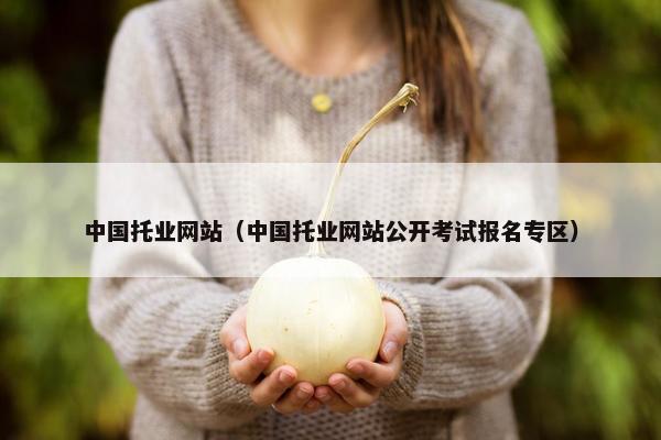 中国托业网站（中国托业网站公开考试报名专区）