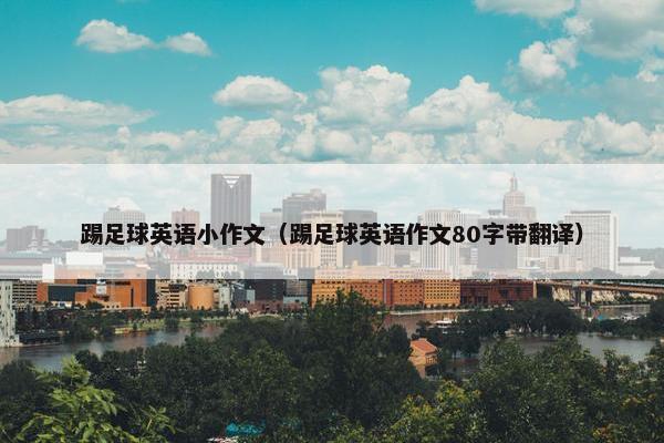 踢足球英语小作文（踢足球英语作文80字带翻译）