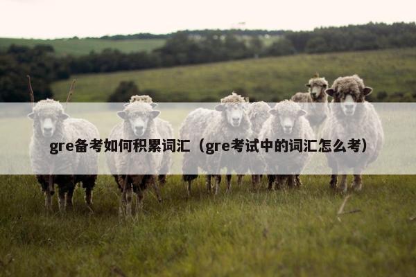 gre备考如何积累词汇（gre考试中的词汇怎么考）